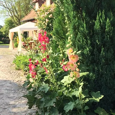 Im Bauerngarten *